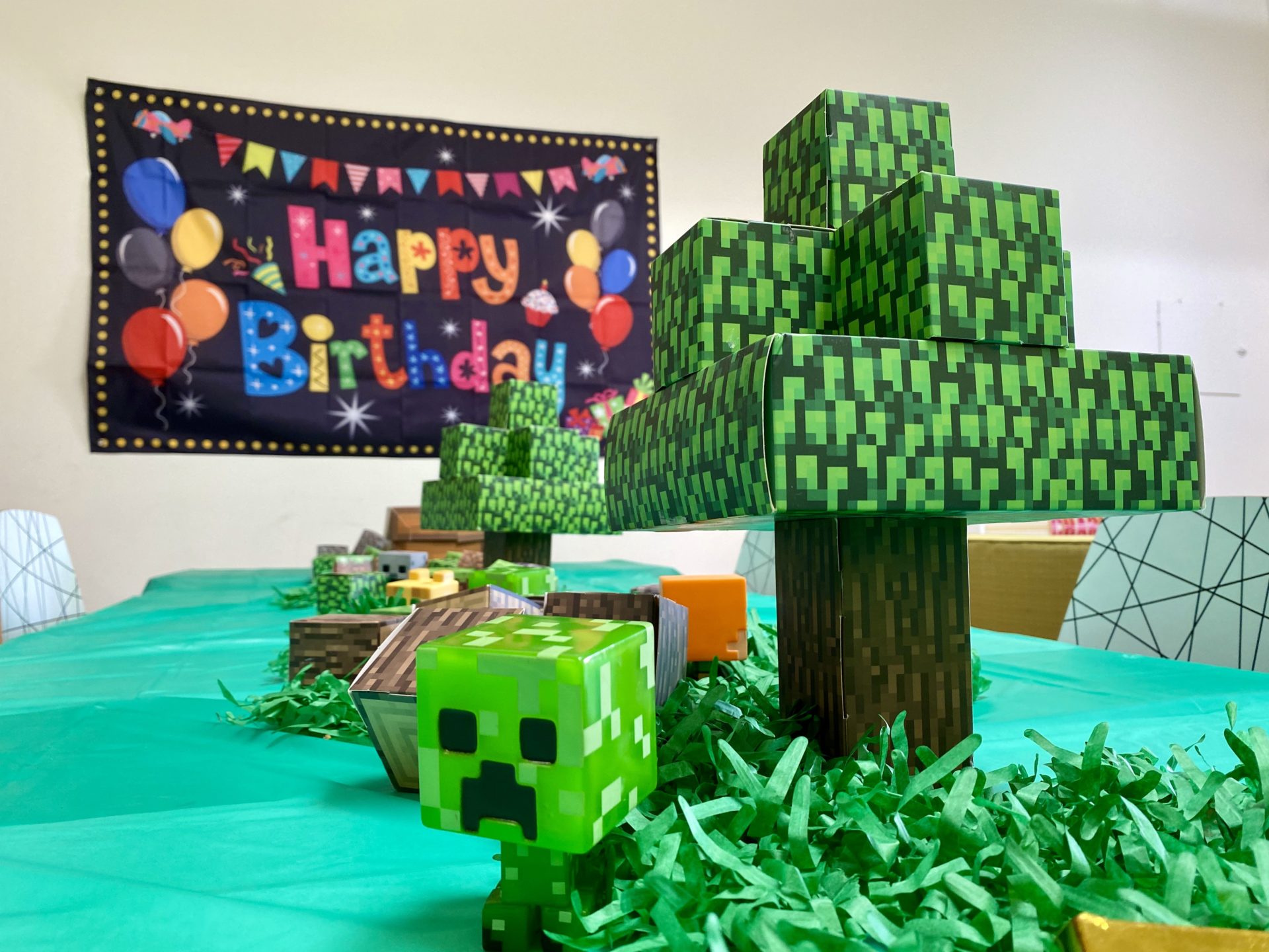 Minecraft Birthday Parties at Digital Dragon
